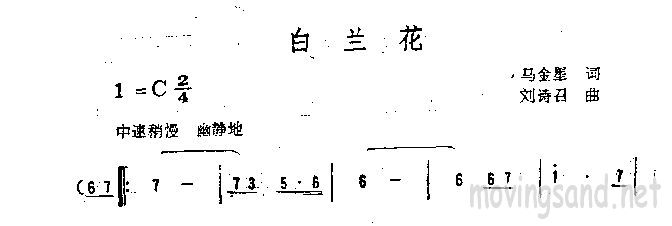 白兰花