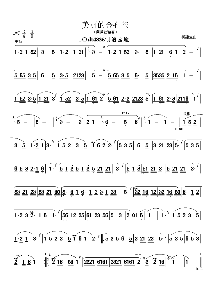 美丽的金孔雀
