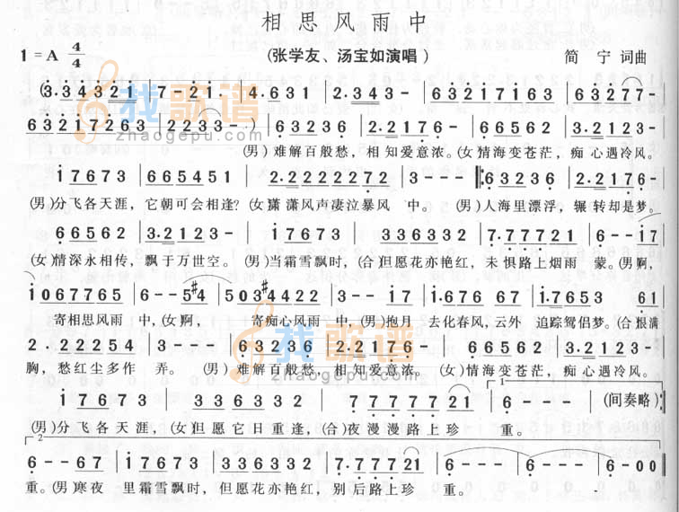 相思风雨中