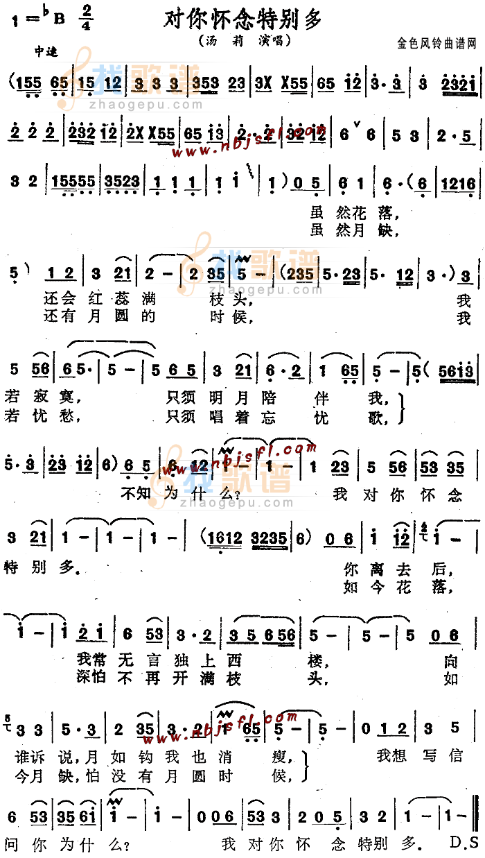 对你怀念特别多