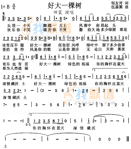 好大一棵树