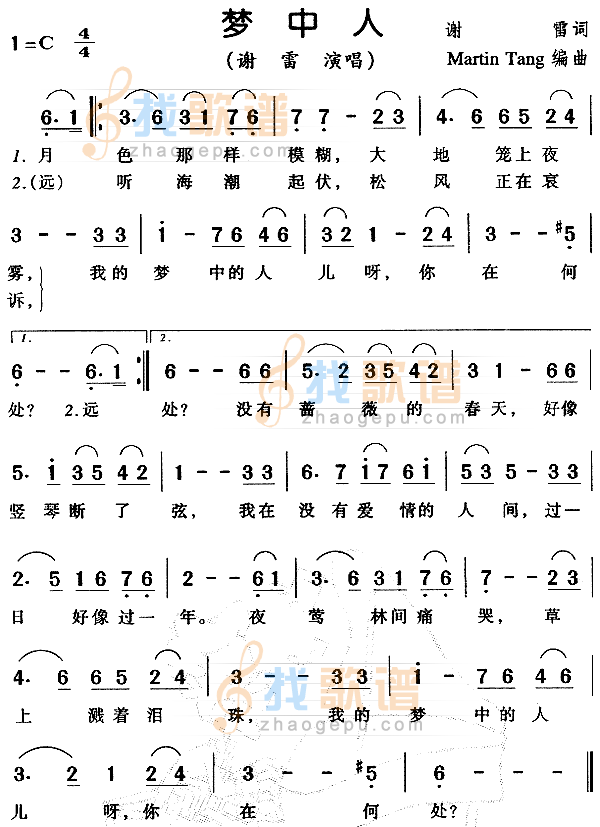 梦中人