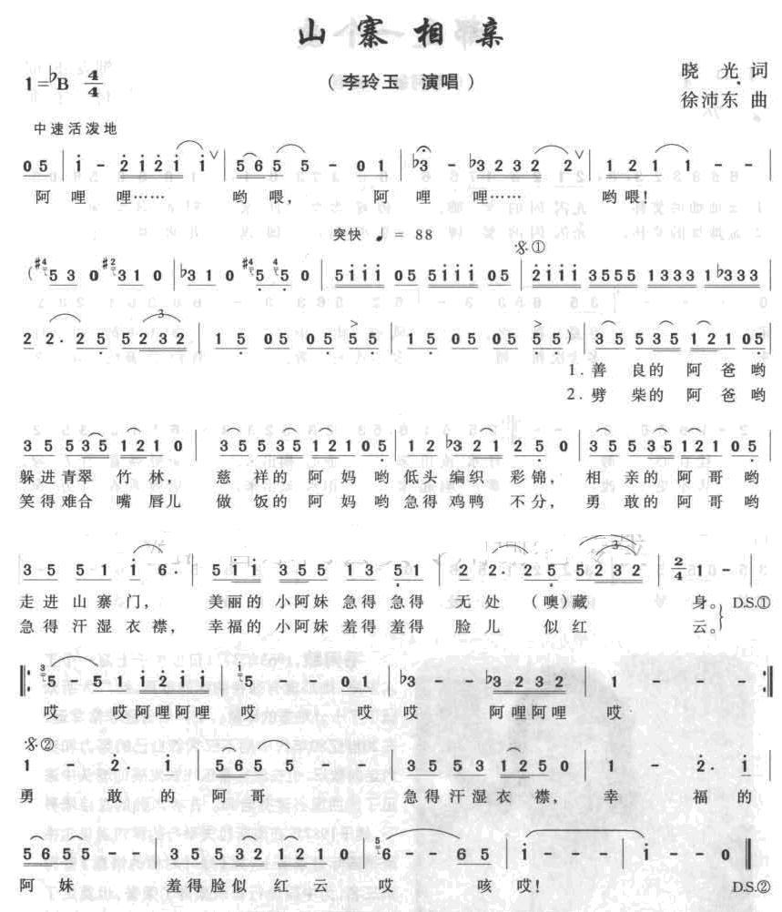 山寨相亲