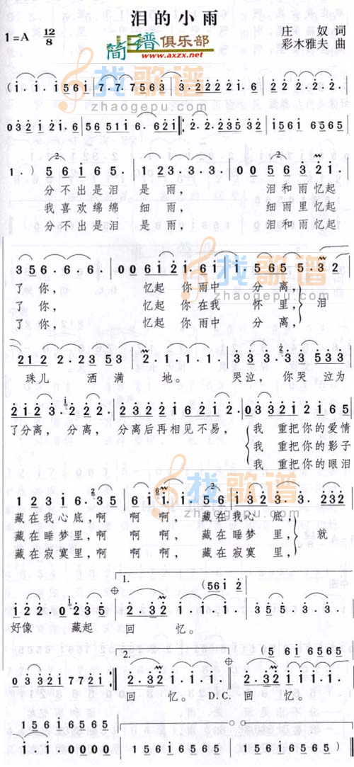 泪的小雨
