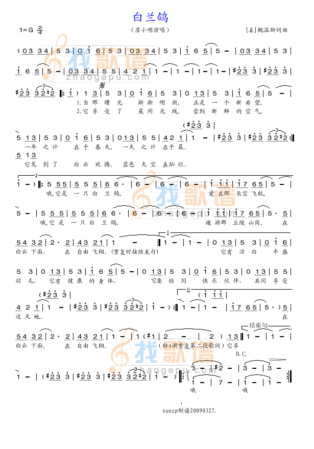 白兰鸽