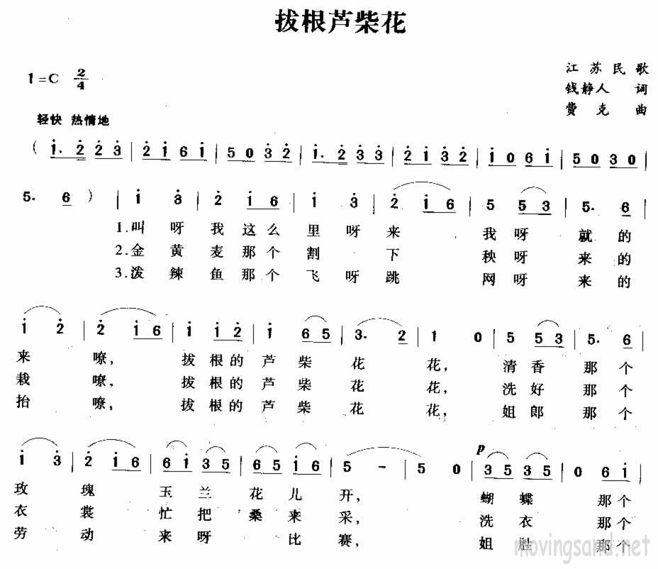 拔根芦柴花