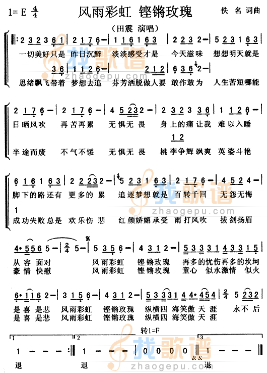 风雨彩虹铿锵玫瑰