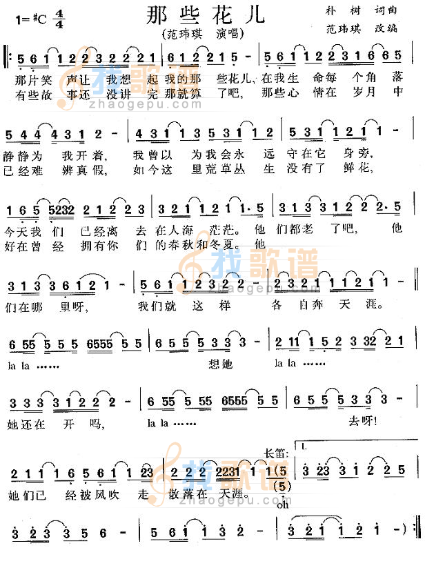 那些花儿