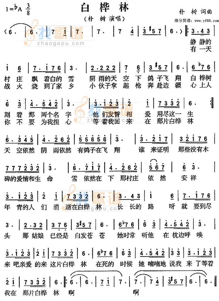 白桦林