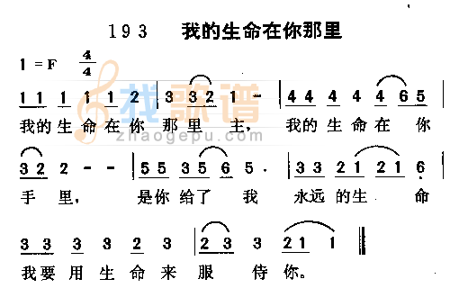 我的生命在你那里