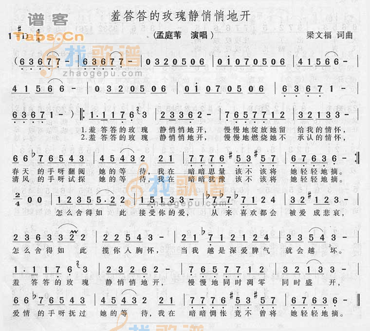 羞答答的玫瑰静悄悄地开