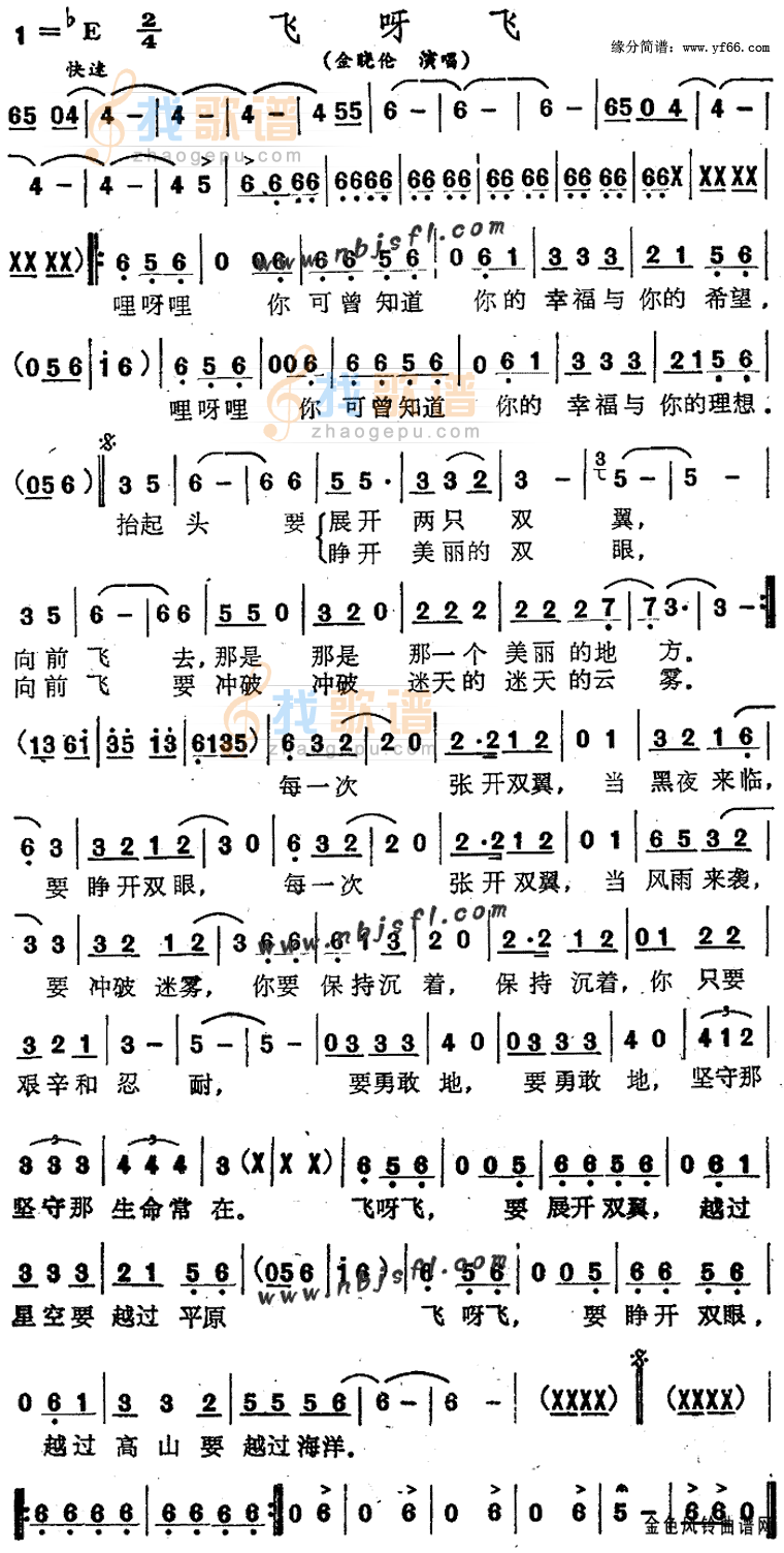 飞呀飞