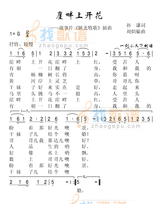 崖畔上开花