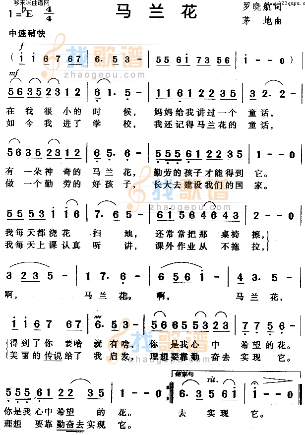 马兰花