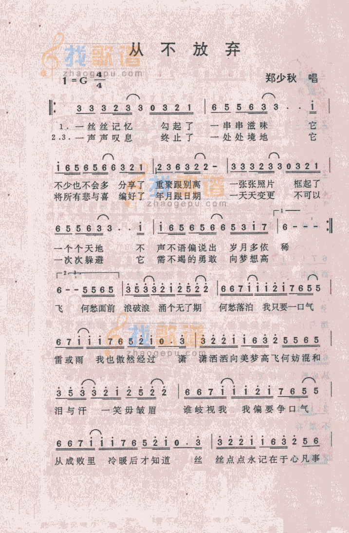 从不放弃