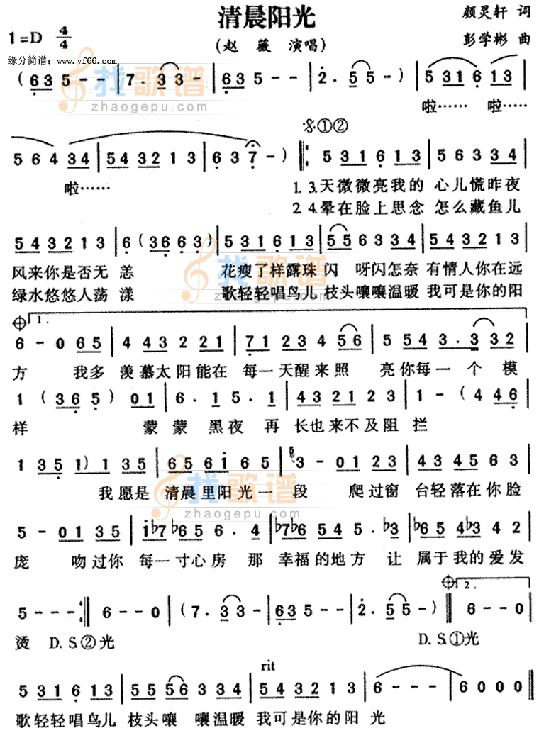 清晨阳光