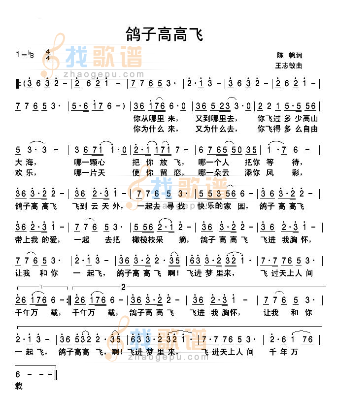 鸽子高高飞