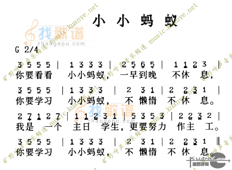 小小蚂蚁