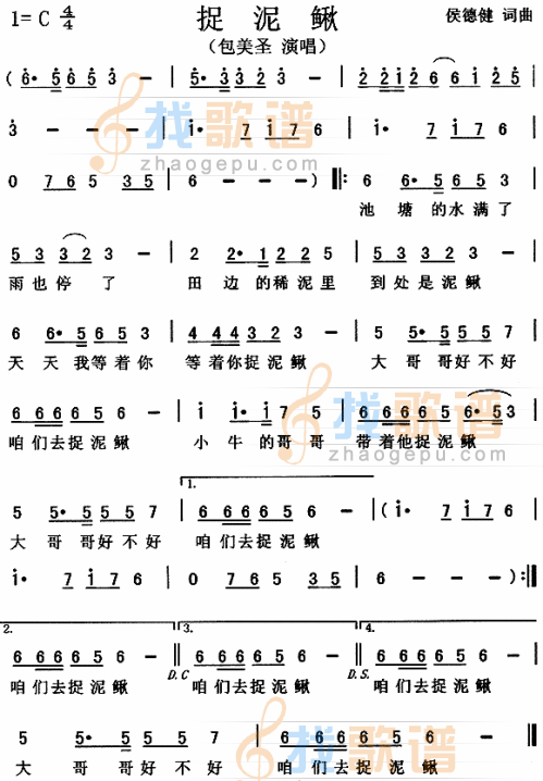捉泥鳅