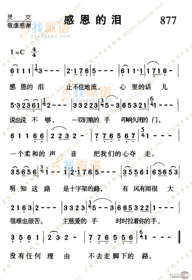 877感恩的泪