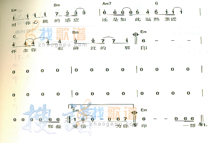 夜曲
