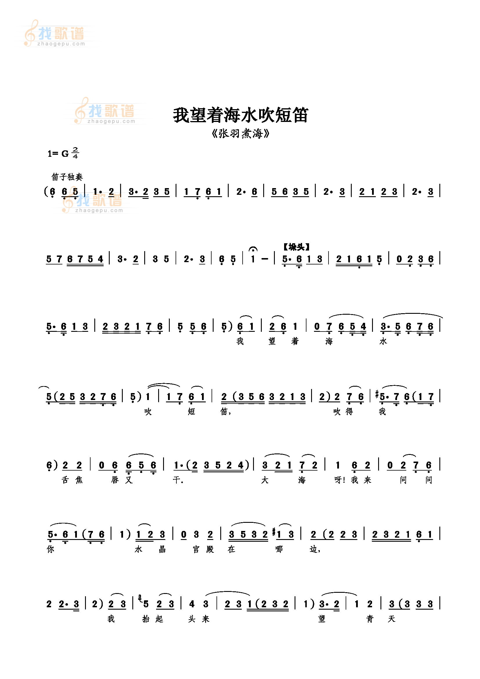 我望着海水吹短笛
