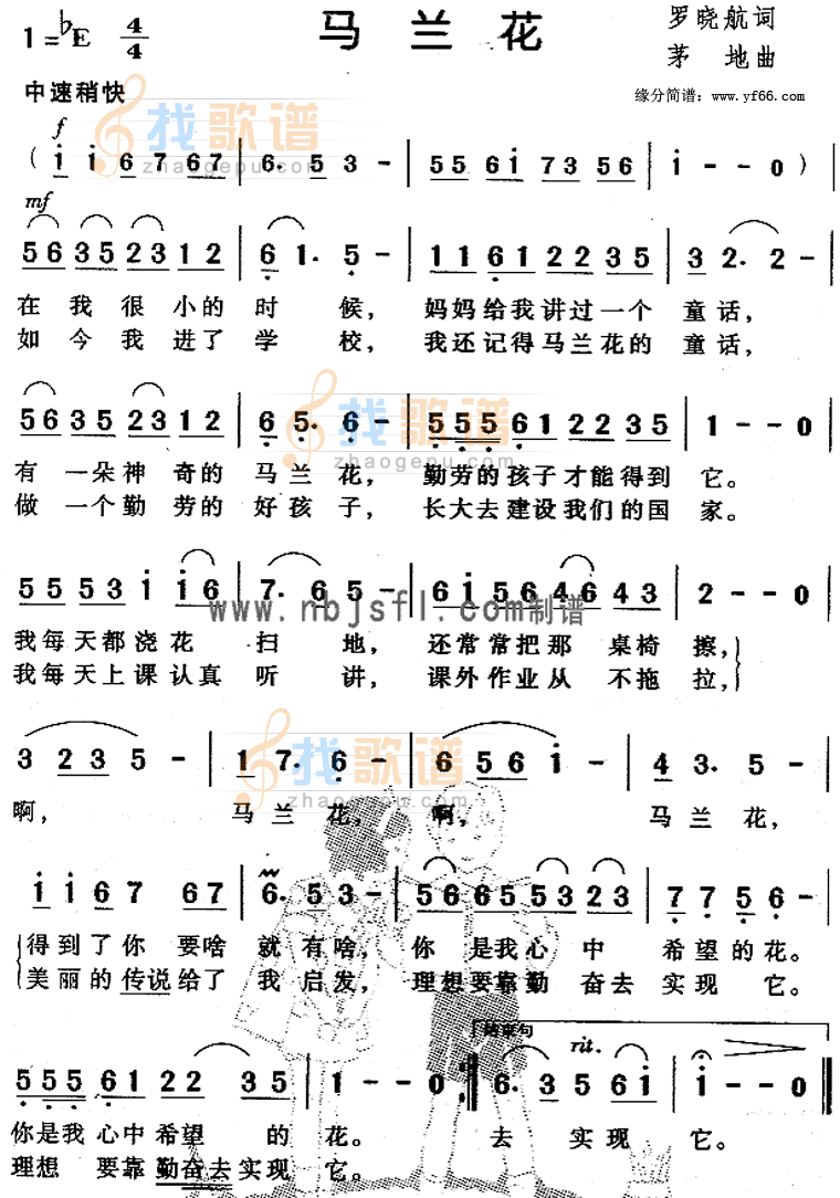 马兰花