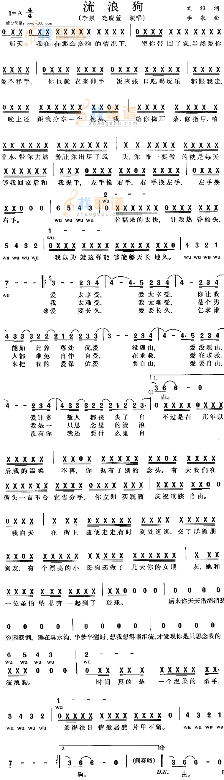 流浪狗