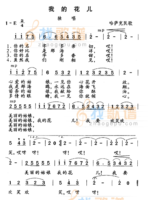 我的花儿
