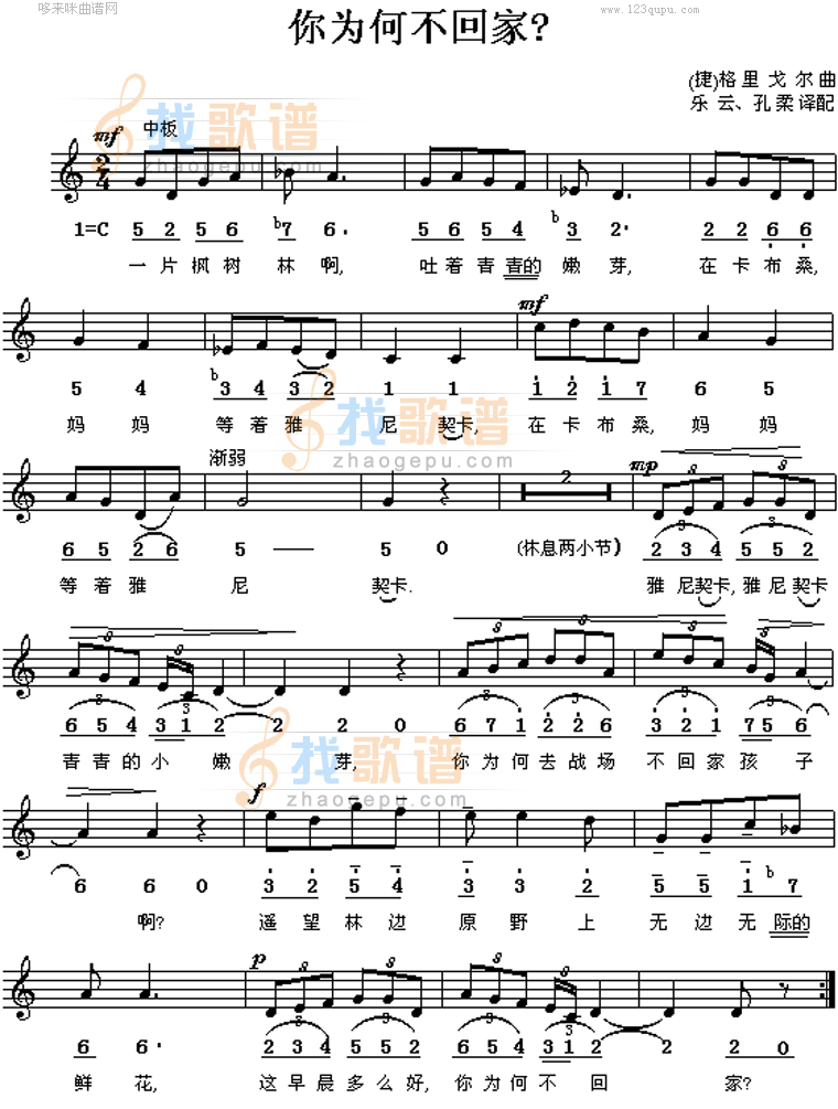 你为何不回家(格里戈尔)