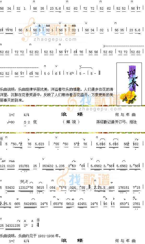 花市迎春2+浪蝶