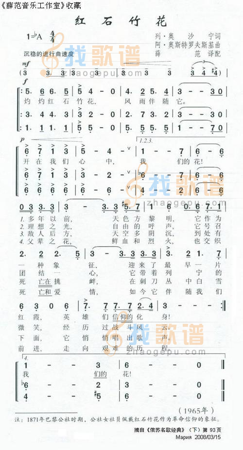 红石竹花