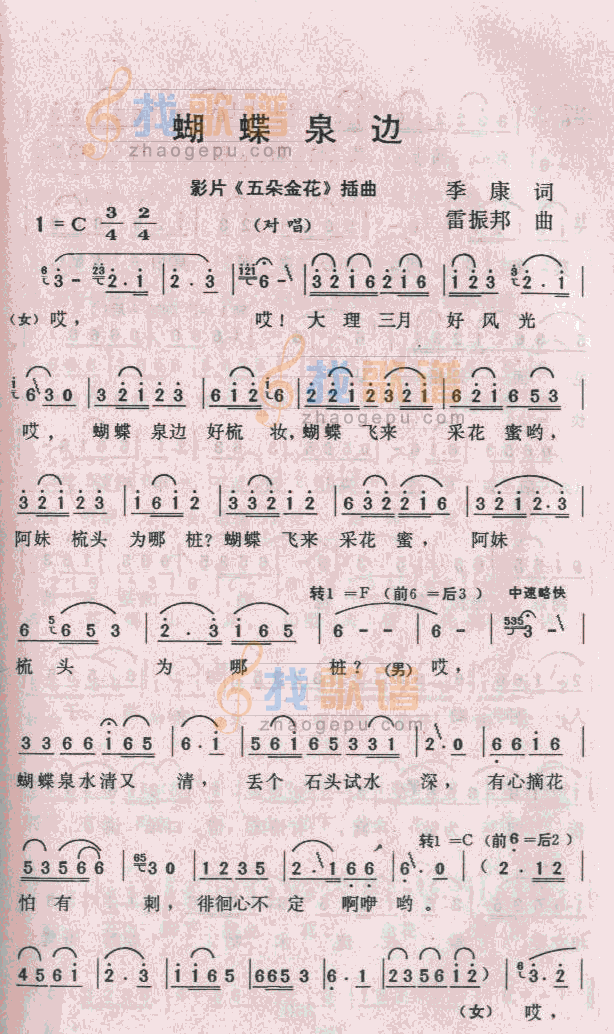 蝴蝶泉边