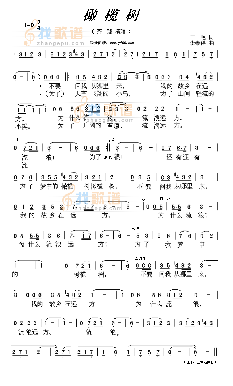 橄榄树