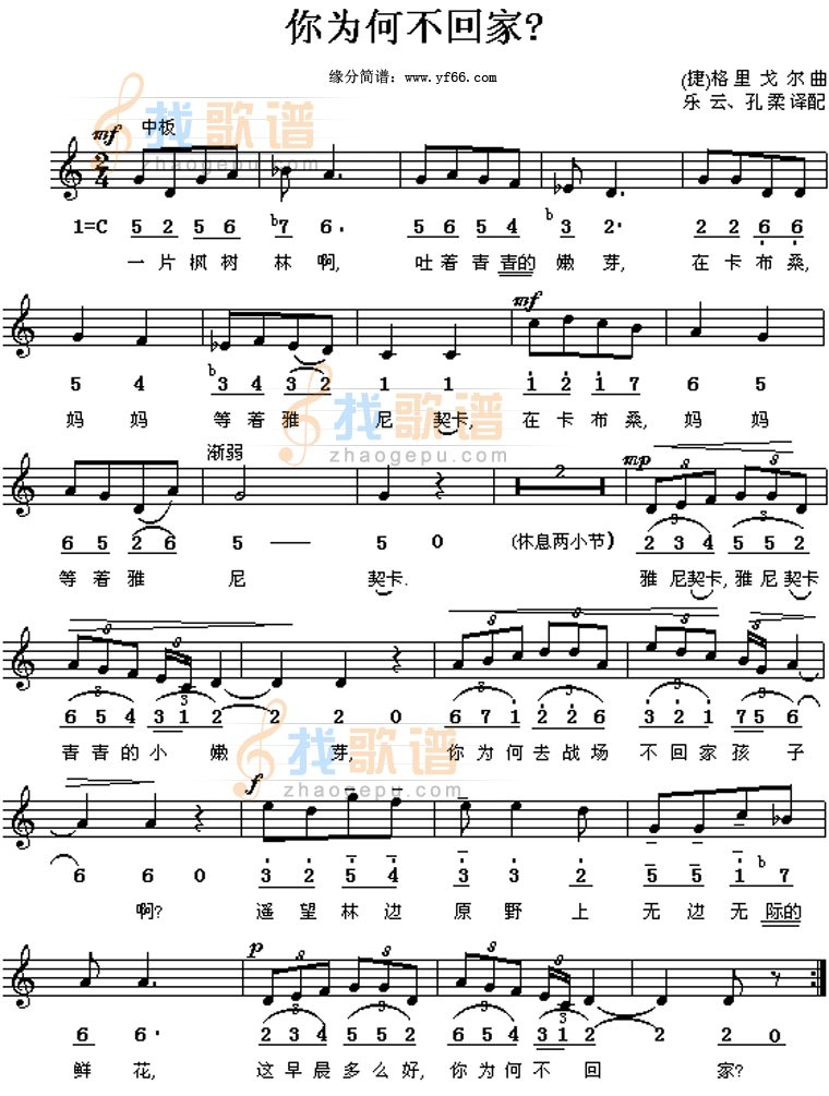 你为何不回家