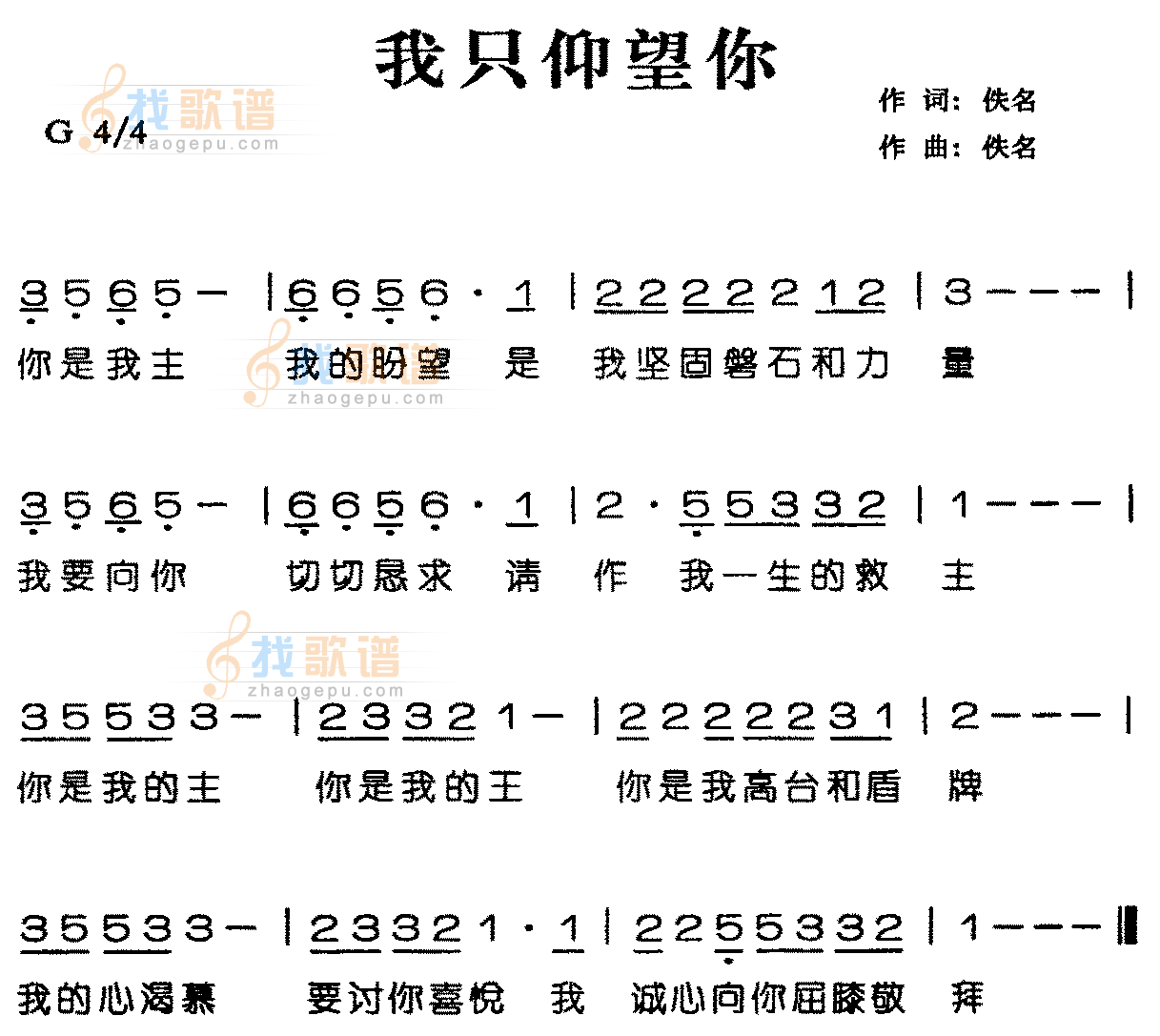 我只仰望你