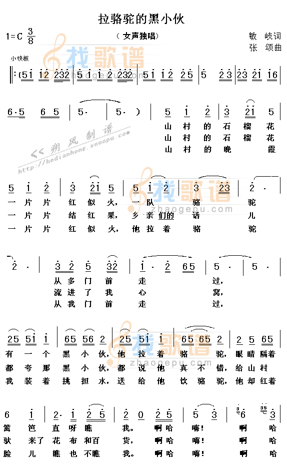 拉骆驼的黑小伙