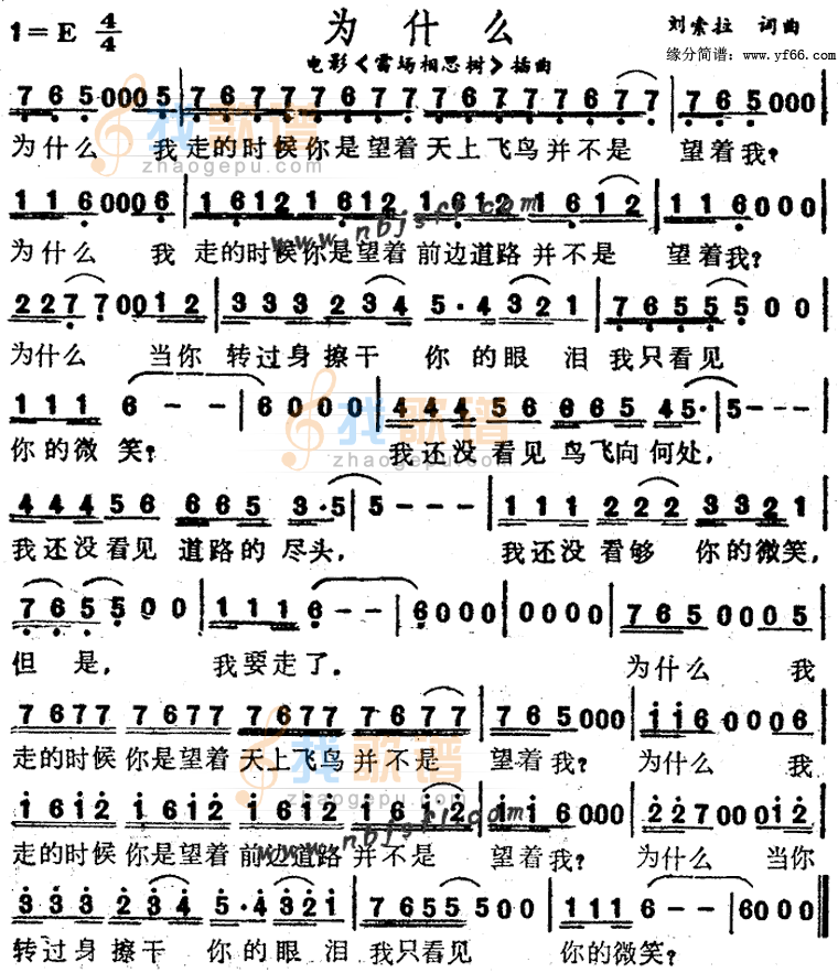 为什么雷场相思树插曲