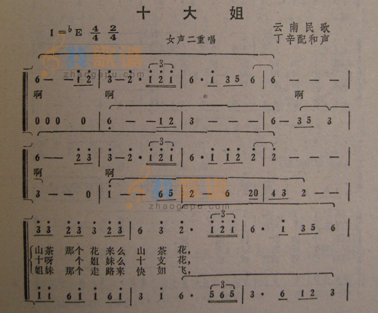 十大姐