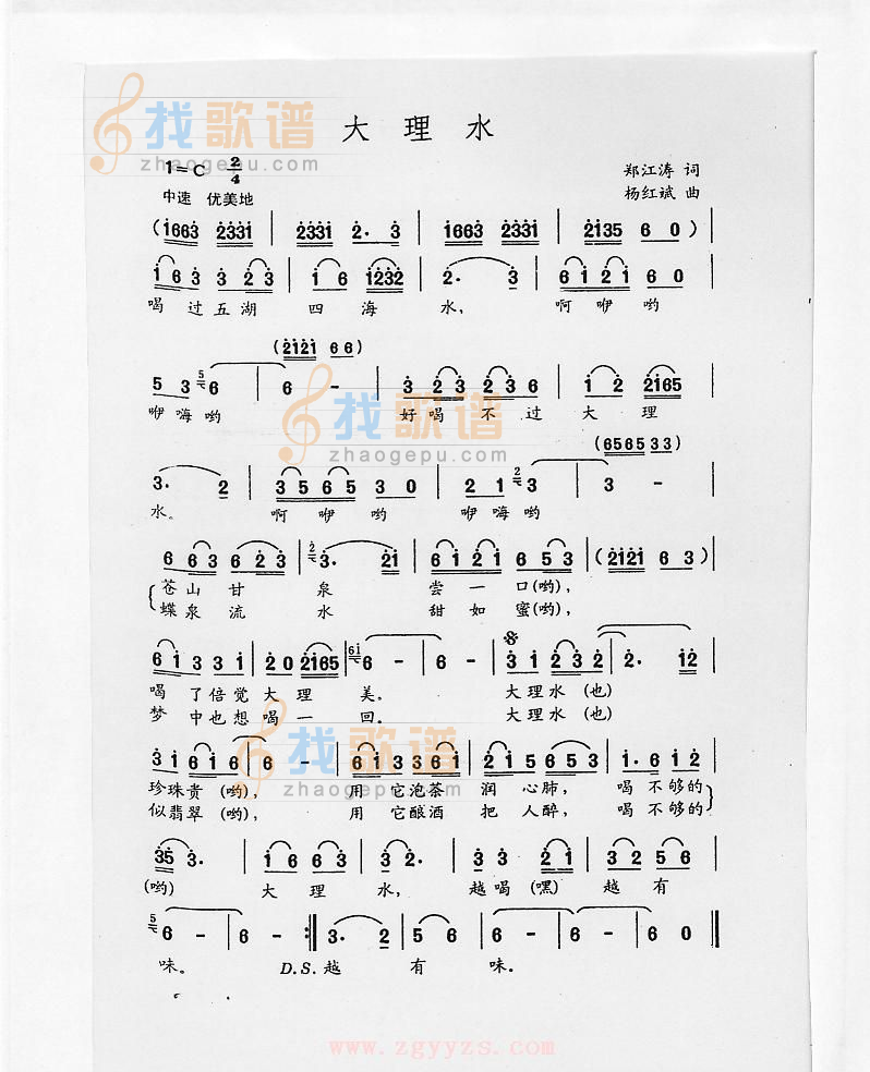 大理水