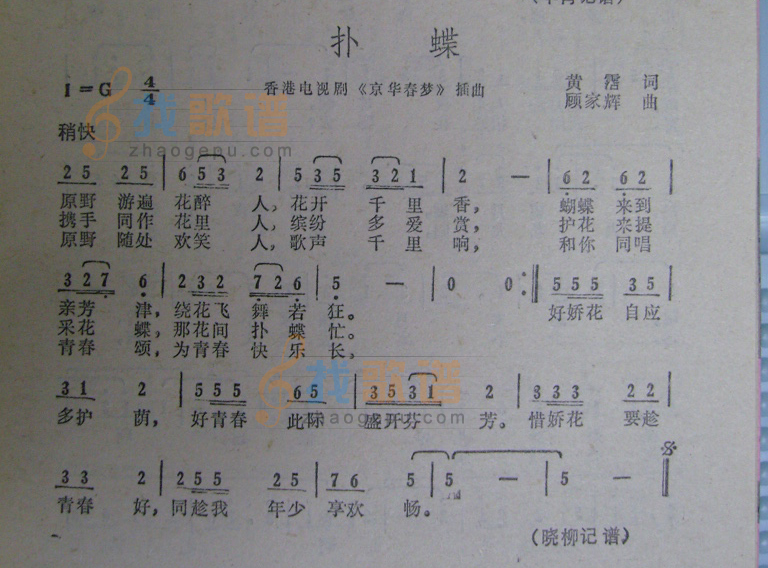 扑蝶