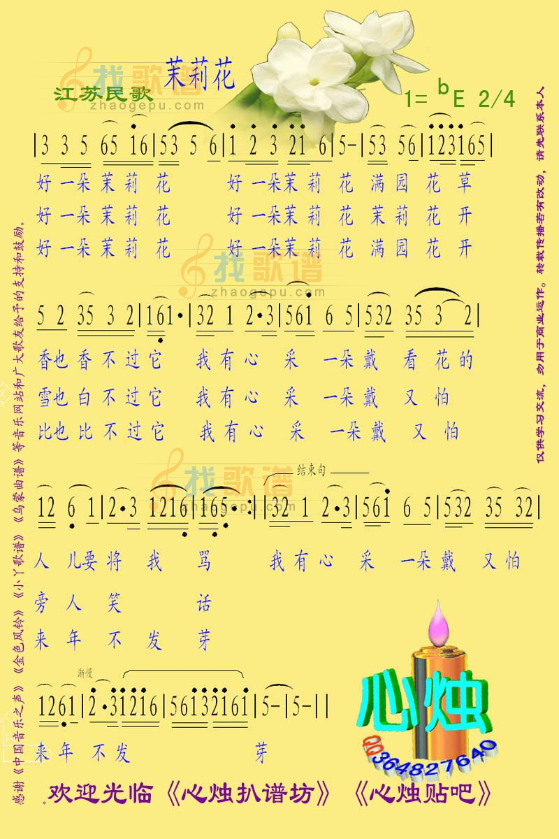茉莉花