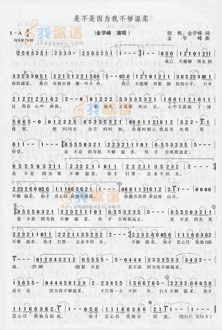 是不是因为我不够温柔