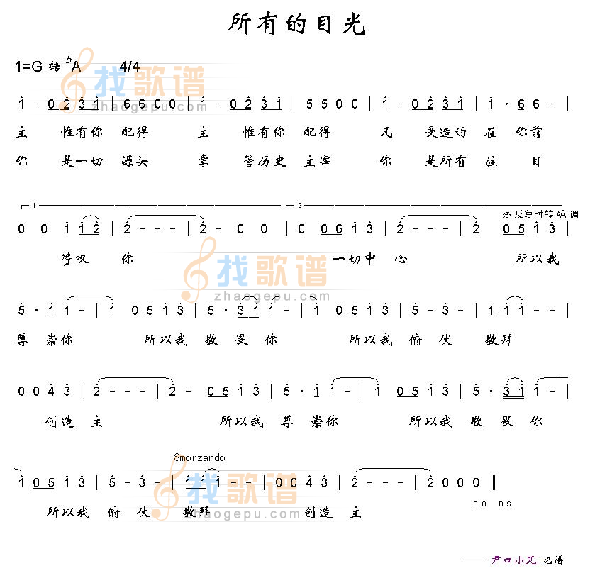 所有的目光