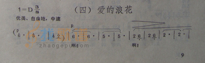 爱的浪花