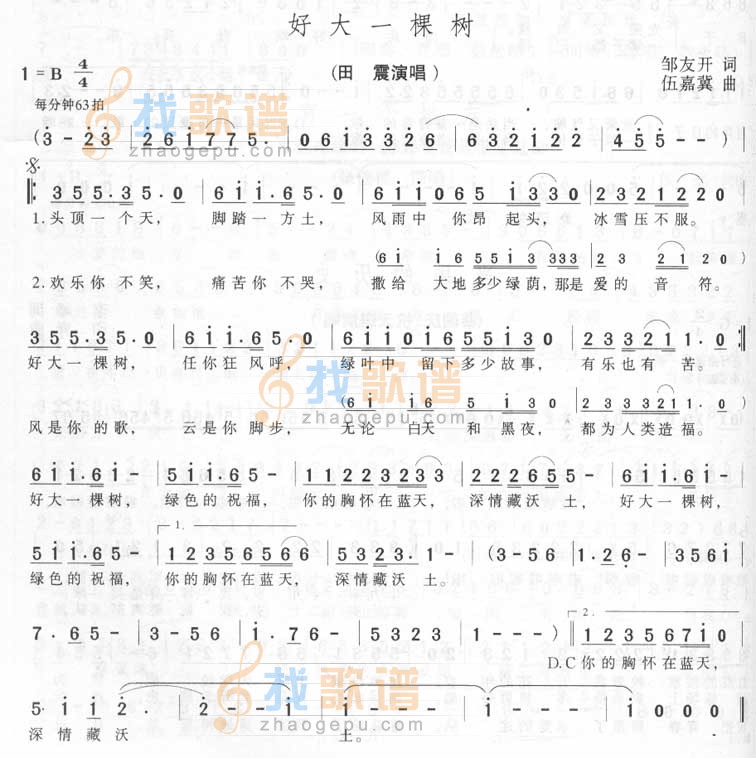 好大一棵树
