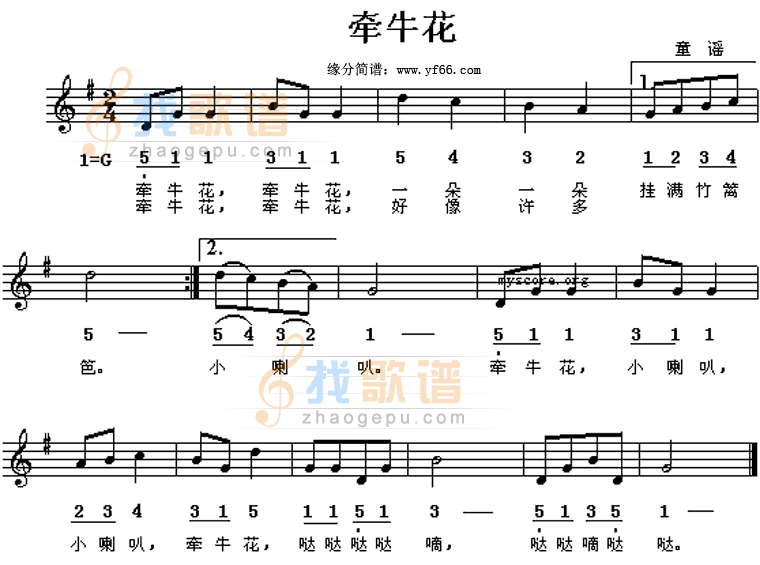 牵牛花