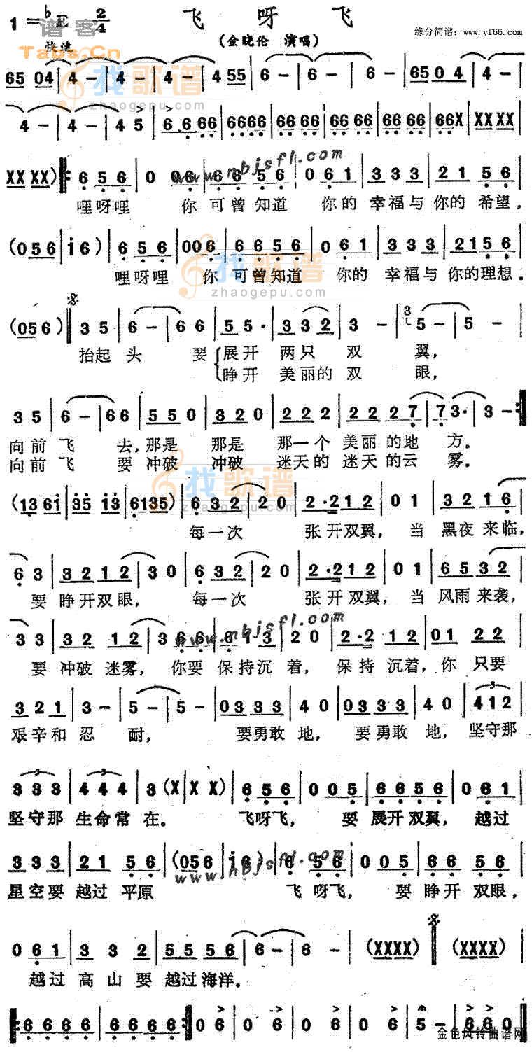 飞呀飞