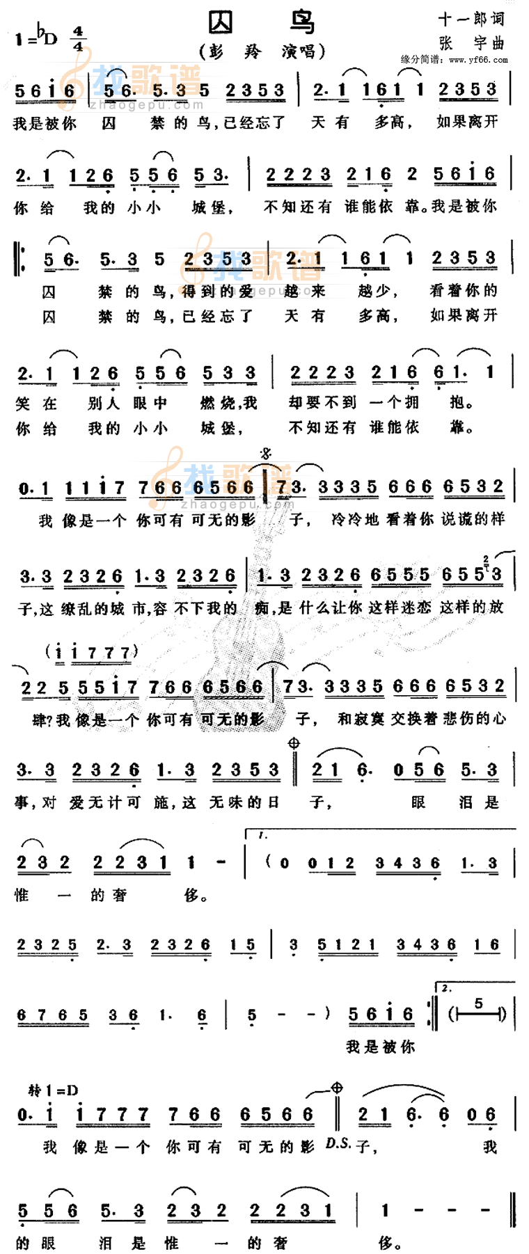 囚鸟