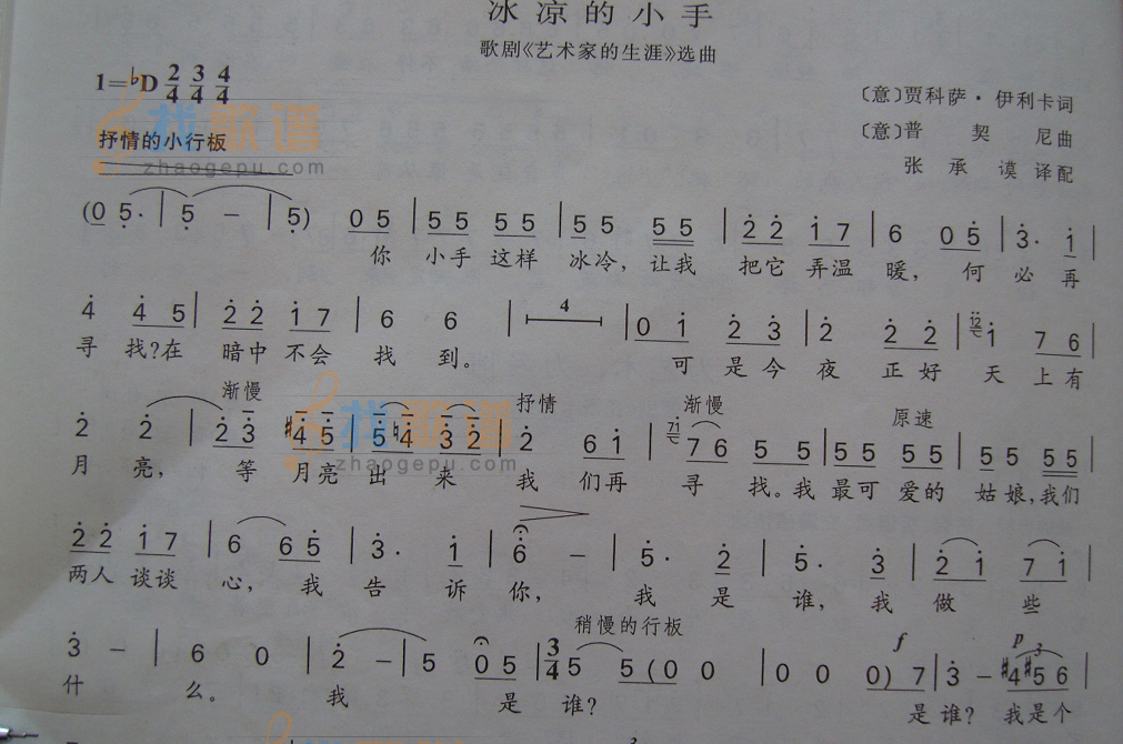 冰凉的小手